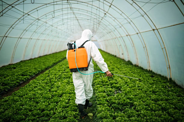 Best Commercial Pest Control Services  in Rio Verde, AZ