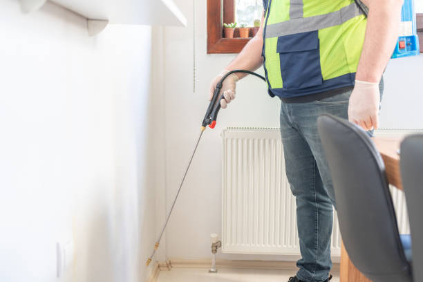 Best Pest Control for Homes  in Rio Verde, AZ