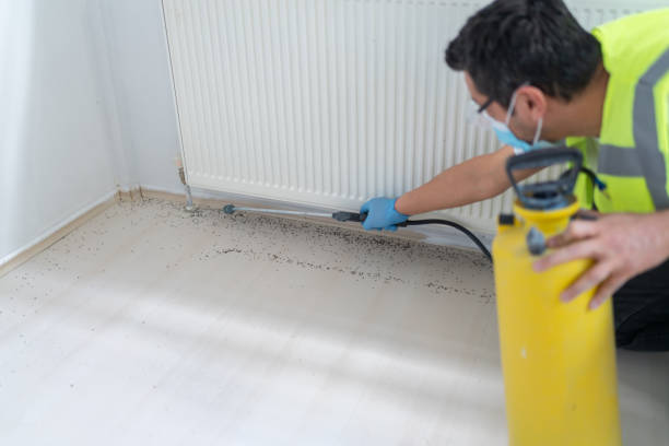 Best Cockroach Control Services  in Rio Verde, AZ